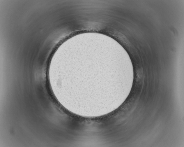 X0000113980632200910161623