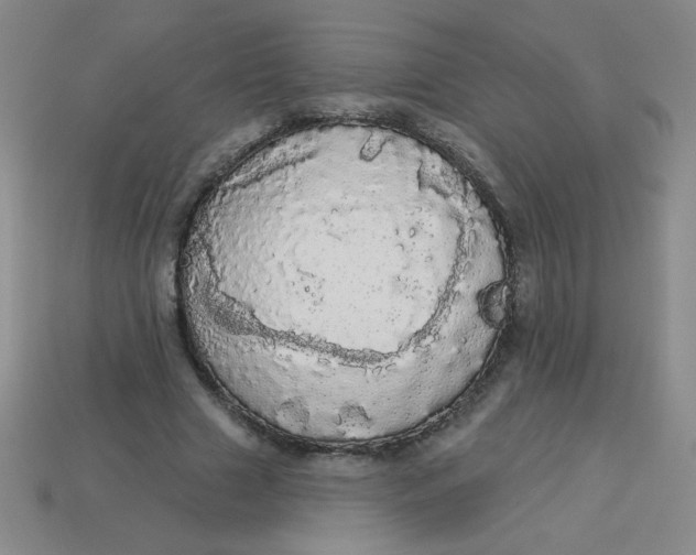 X0000113980633200910161623