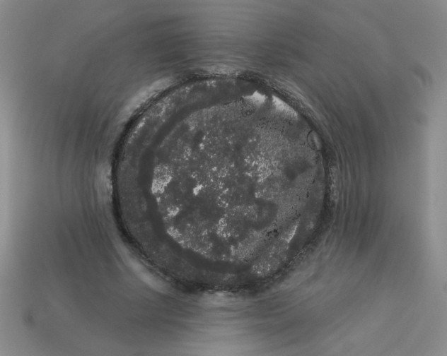 X0000113980634200910161623