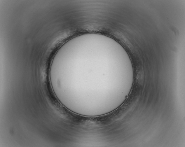 X0000113980635200910161623