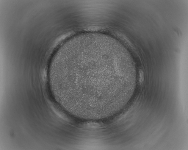 X0000113980636200910161623