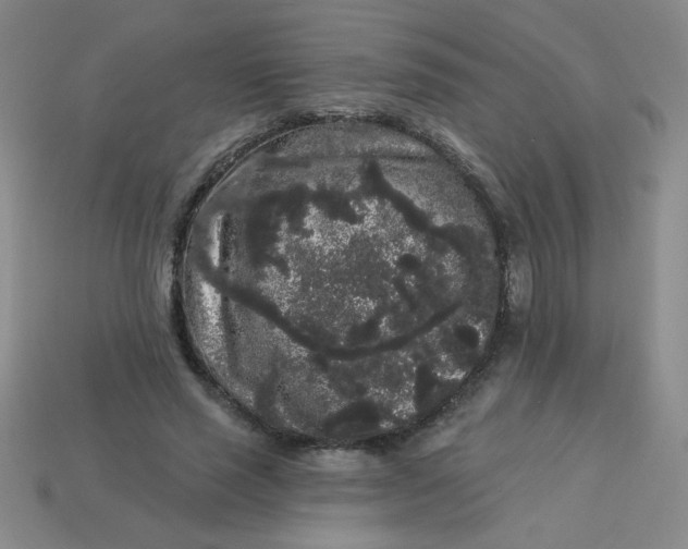 X0000113980637200910161623