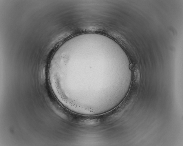 X0000113980638200910161623