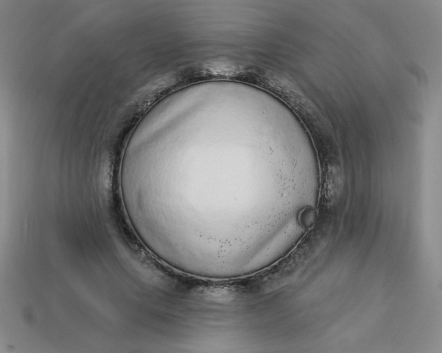 X0000113980639200910161623