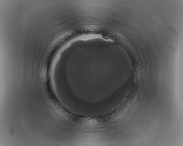 X0000113980640200910161623