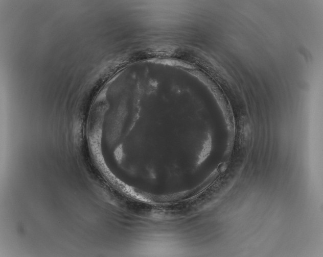 X0000113980641200910161623