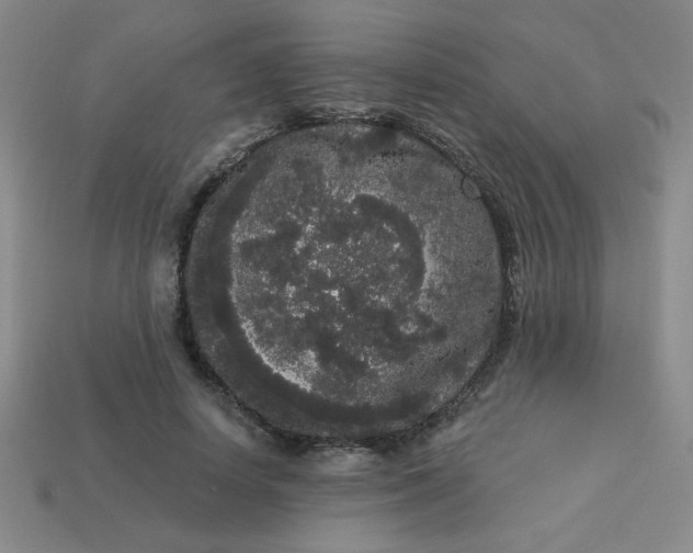 X0000113980642200910161623