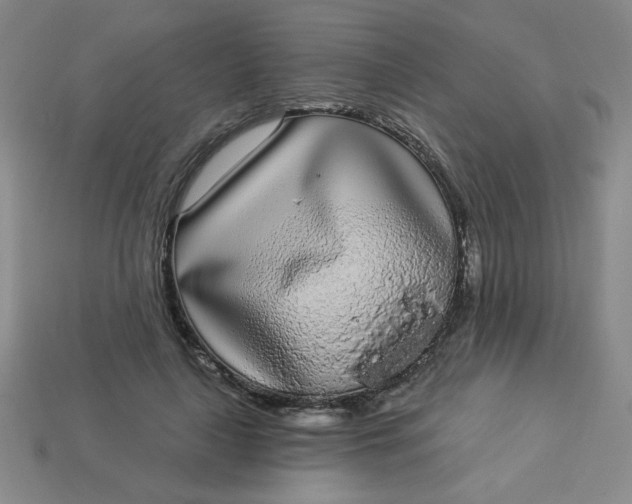 X0000113980643200910161623