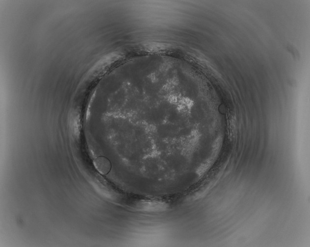 X0000113980644200910161623