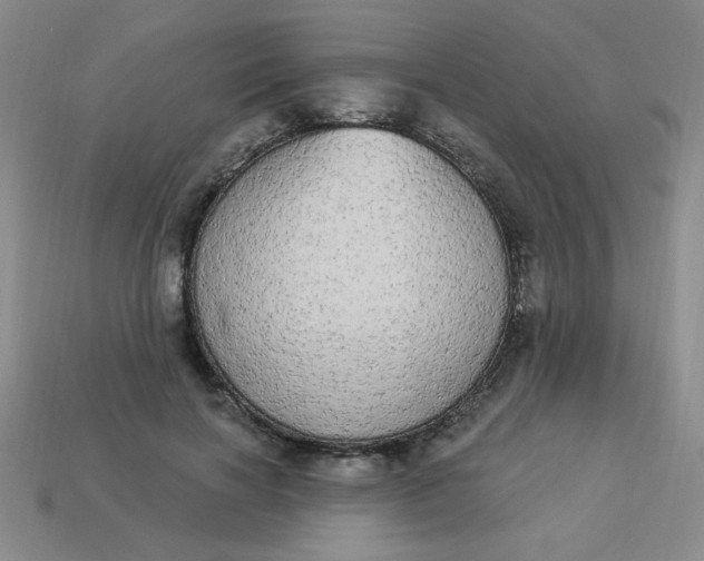 X0000113980646200910161623