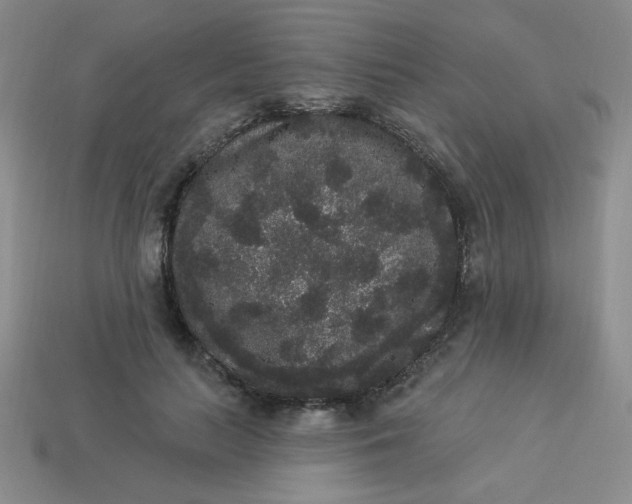 X0000113980647200910161623