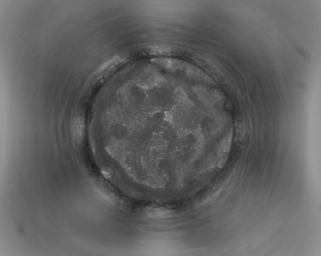 X0000113980648200910161623