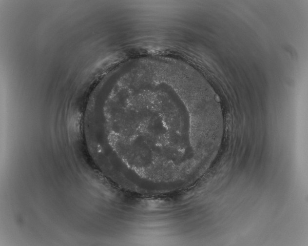 X0000113980650200910161623