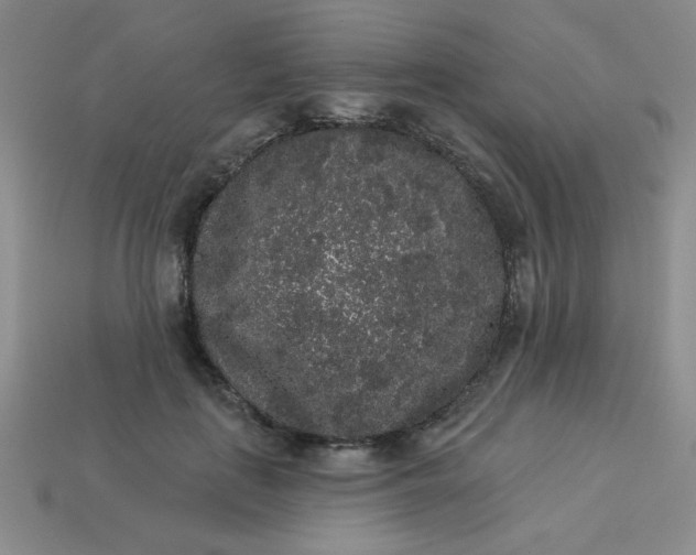 X0000113980651200910161623