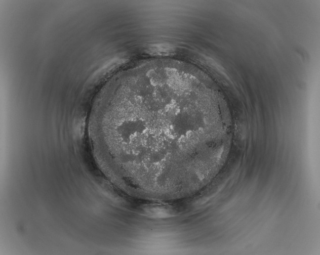 X0000113980652200910161623