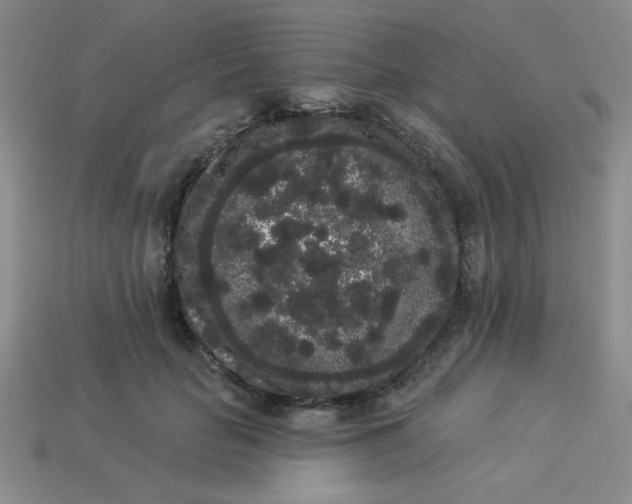 X0000113980653200910161623