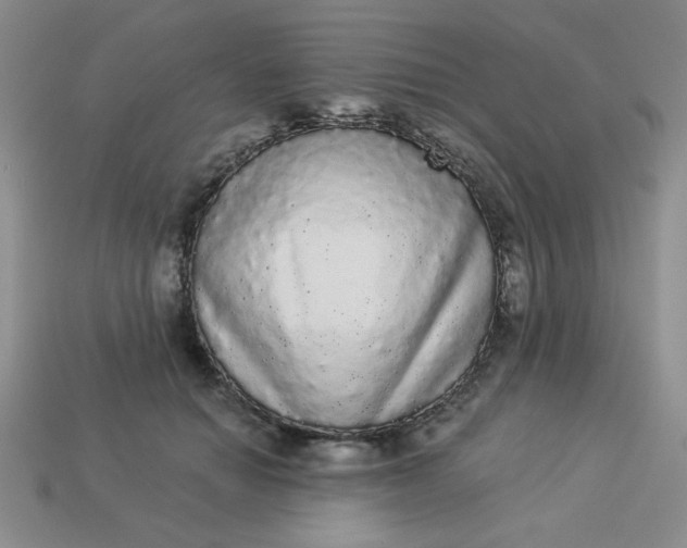 X0000113980654200910161623