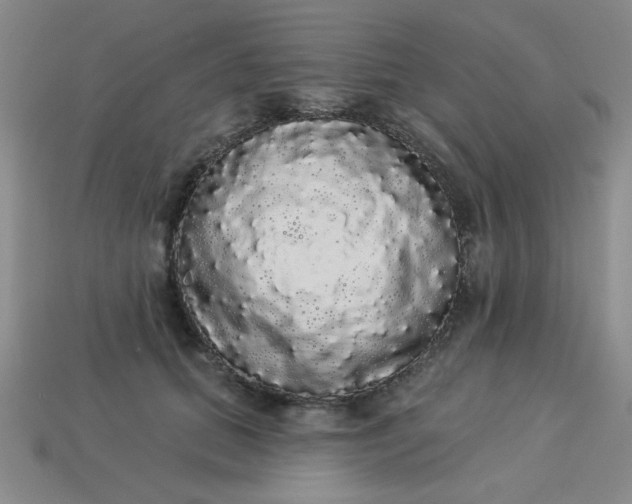 X0000113980655200910161623