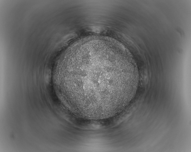 X0000113980656200910161623