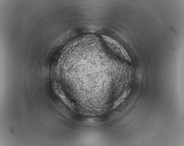 X0000113980657200910161623