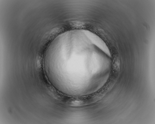 X0000113980658200910161623