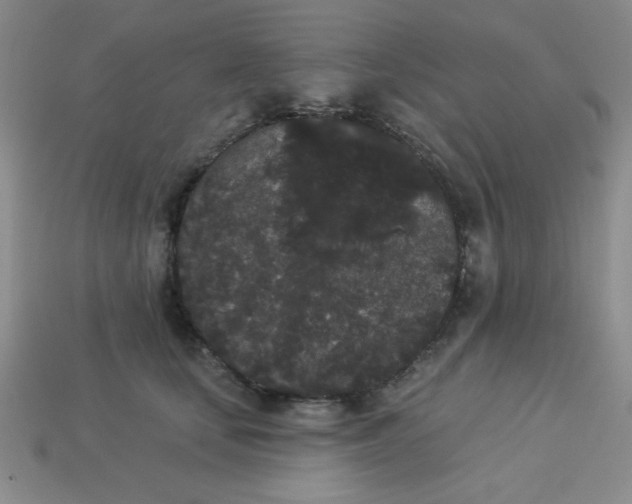 X0000113980659200910161623