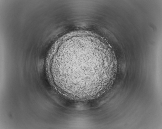 X0000113980660200910161623