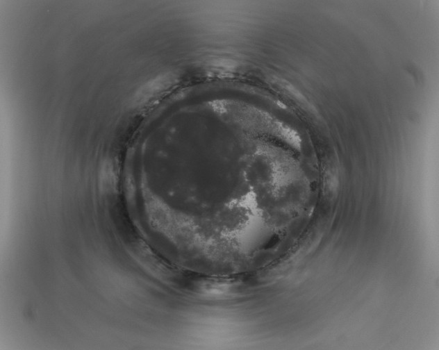 X0000113980661200910161624