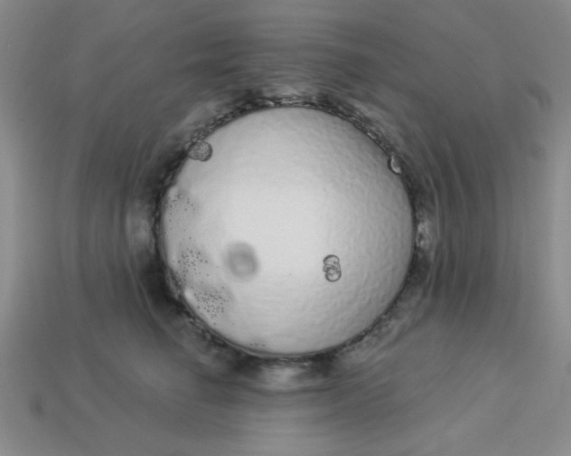 X0000113980662200910161624