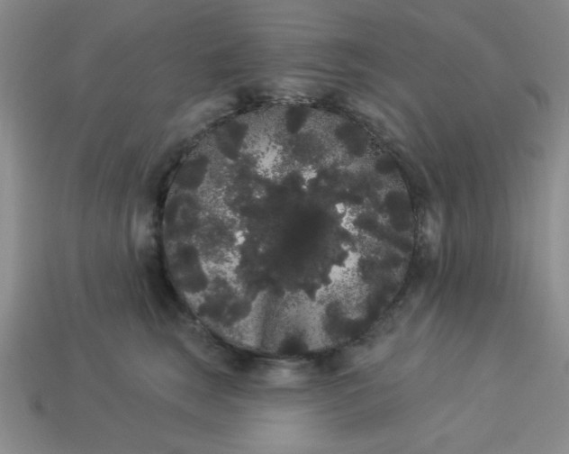 X0000113980663200910161624