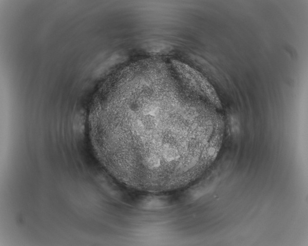 X0000113980664200910161624