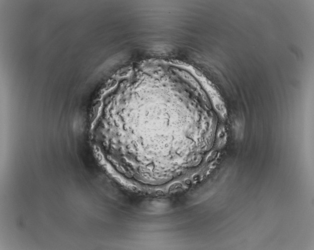 X0000113980665200910161624