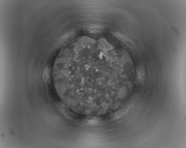 X0000113980667200910161624