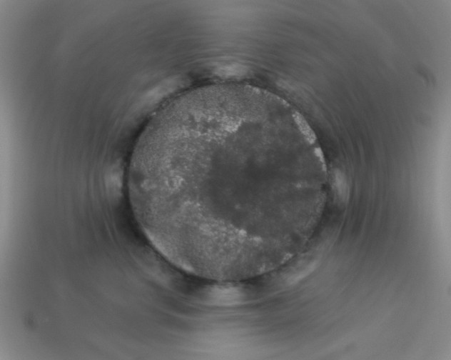 X0000113980668200910161624