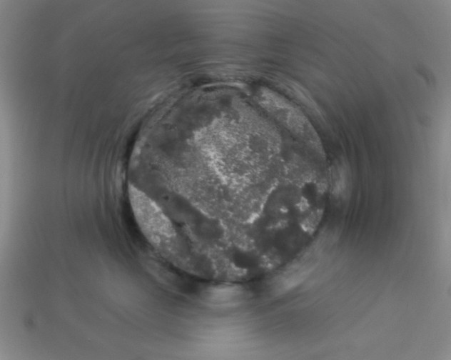 X0000113980669200910161624