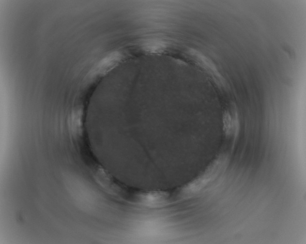 X0000113980670200910161624