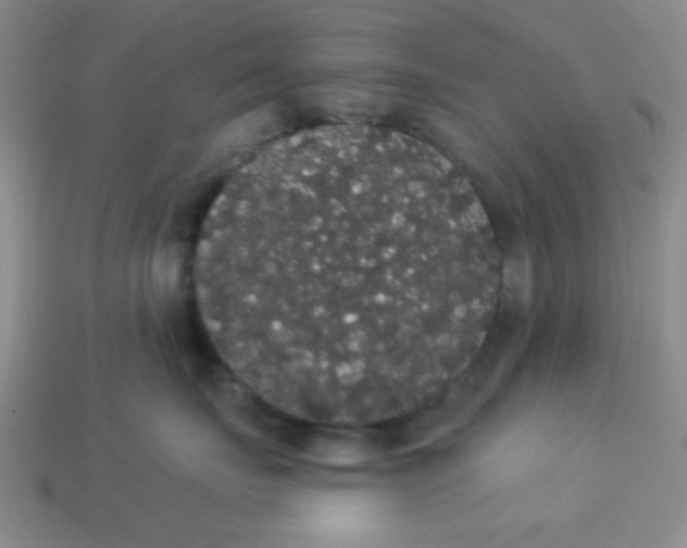 X0000113980671200910161624