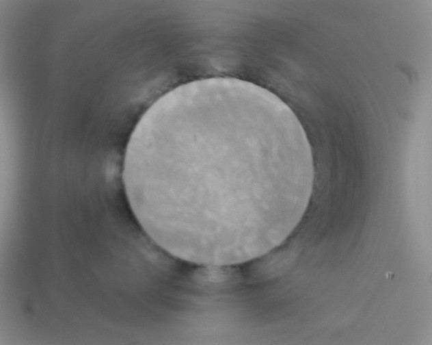 X0000113980672200910161624