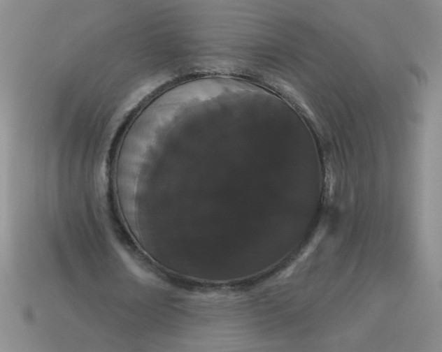 X0000113980674200910161623