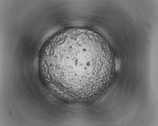 X0000113980675200910161623