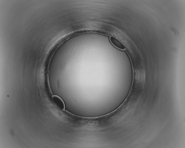 X0000113980676200910161623