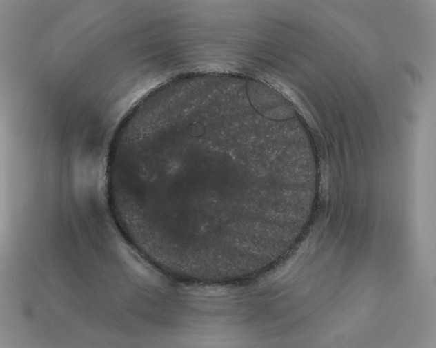 X0000113980677200910161623