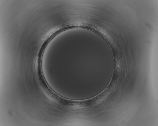 X0000113980678200910161623