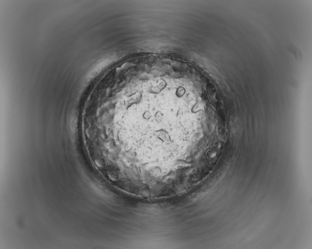 X0000113980679200910161623