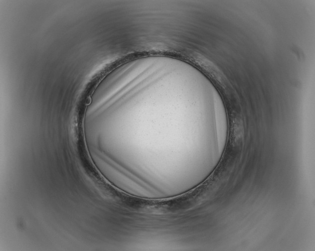 X0000113980680200910161623