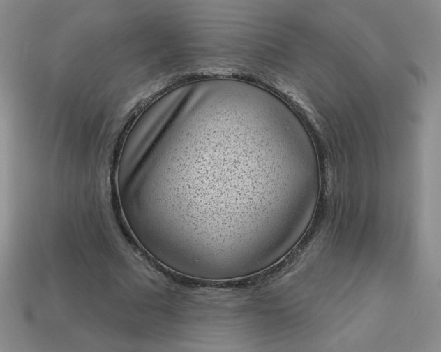 X0000113980681200910161623