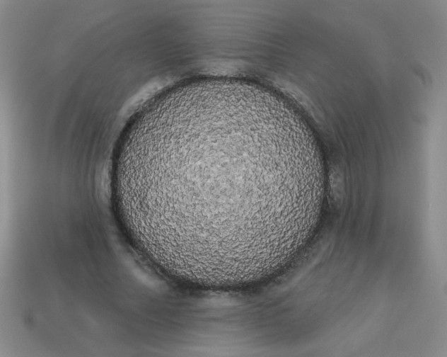 X0000113980682200910161623