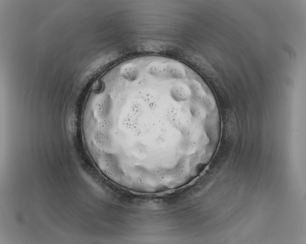 X0000113980683200910161623