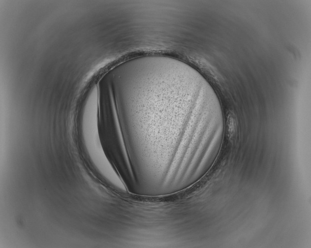 X0000113980684200910161623