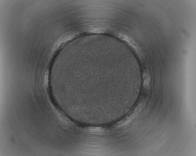 X0000113980685200910161623